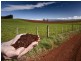 Lot 1 Bass Highway, Deloraine TAS 7304