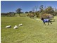 669 Windermere Road, Swan Bay TAS 7252