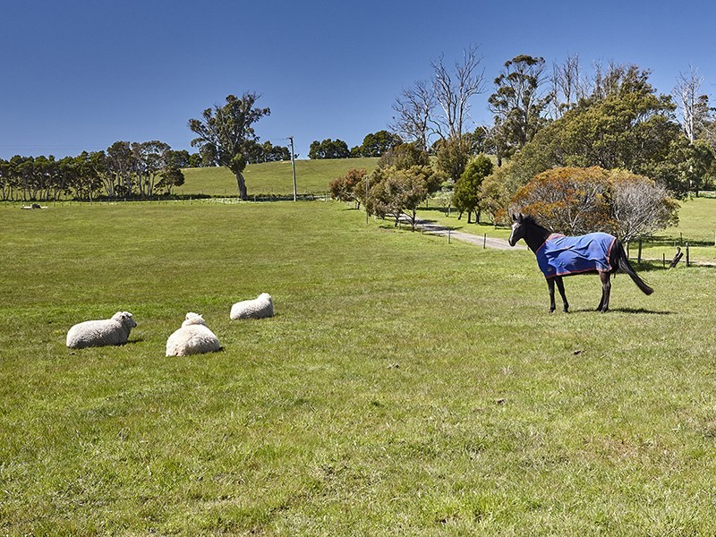 669 Windermere Road, Swan Bay TAS 7252