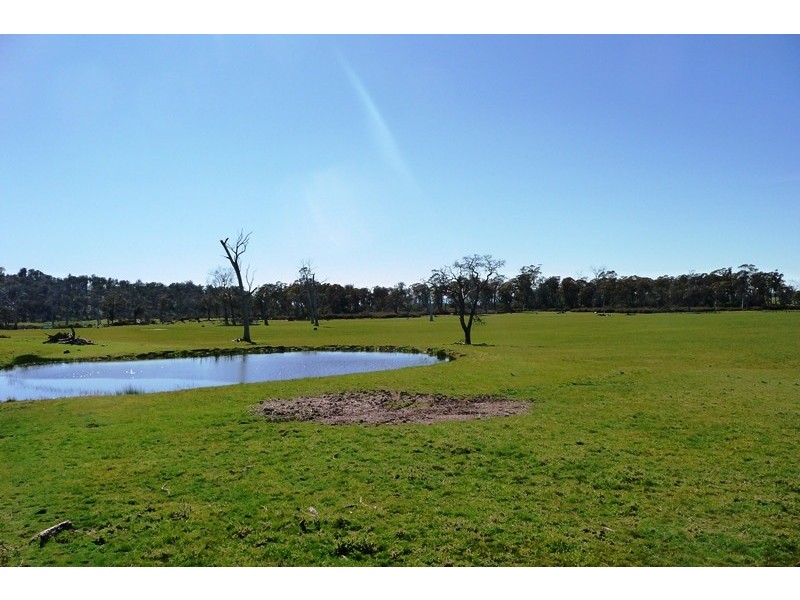 89 Lindsays Road, Whitemore TAS 7303