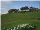 299 Rhyndaston Road, Colebrook TAS 7027