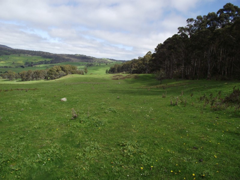 299 Rhyndaston Road, Colebrook TAS 7027