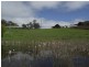 299 Rhyndaston Road, Colebrook TAS 7027