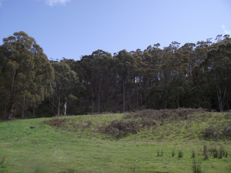 299 Rhyndaston Road, Colebrook TAS 7027