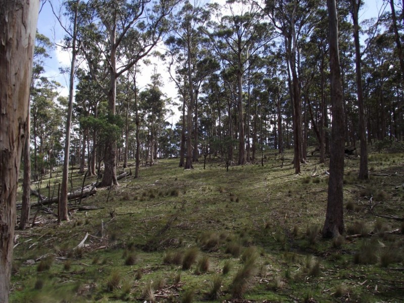 299 Rhyndaston Road, Colebrook TAS 7027