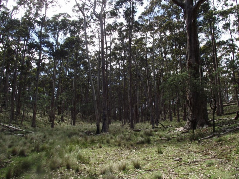 299 Rhyndaston Road, Colebrook TAS 7027