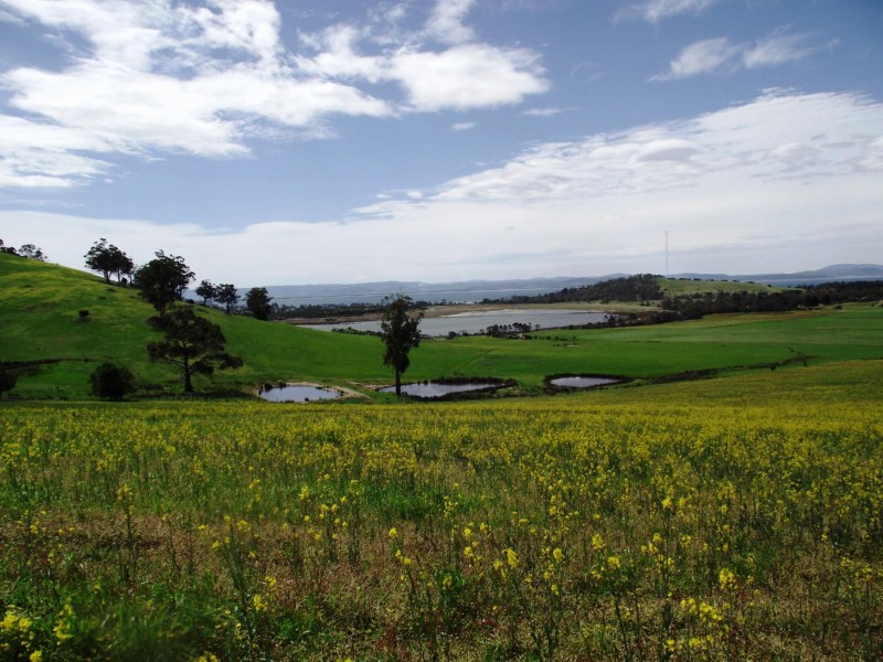 849 South Arm Road, Sandford TAS 7020