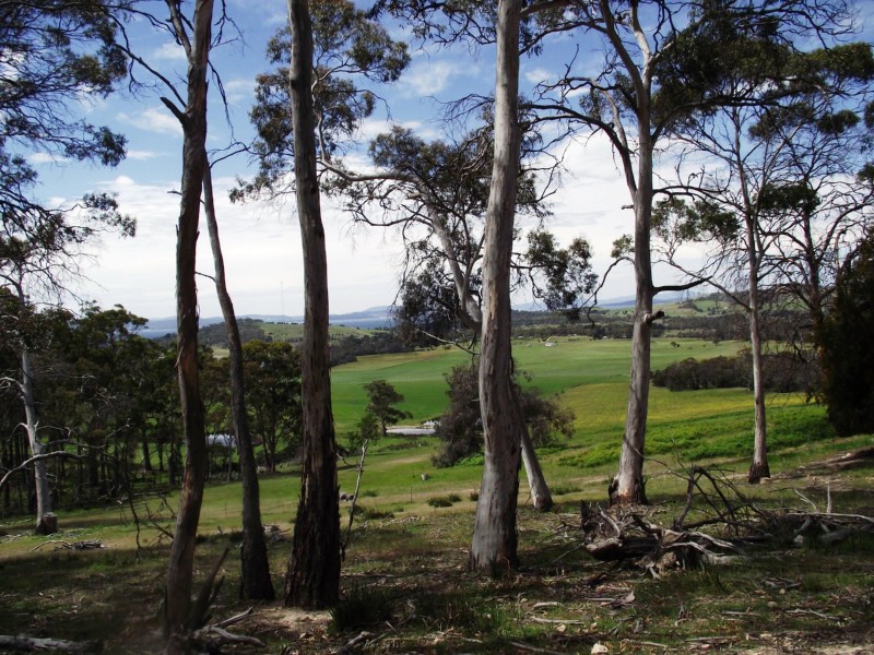 849 South Arm Road, Sandford TAS 7020