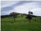 849 South Arm Road, Sandford TAS 7020