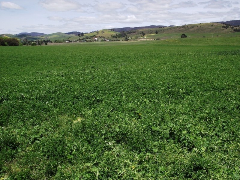 160 Mud Walls Road, Colebrook TAS 7027