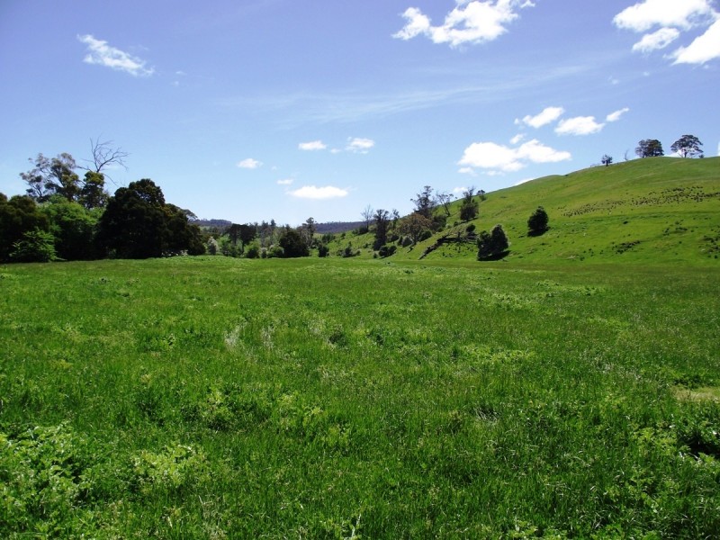 160 Mud Walls Road, Colebrook TAS 7027