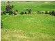 160 Mud Walls Road, Colebrook TAS 7027