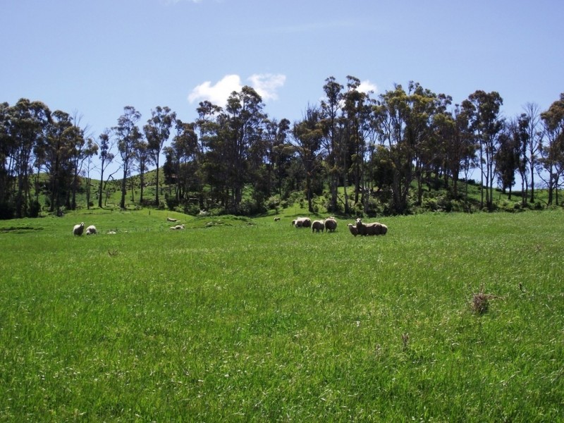 160 Mud Walls Road, Colebrook TAS 7027