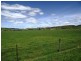 160 Mud Walls Road, Colebrook TAS 7027