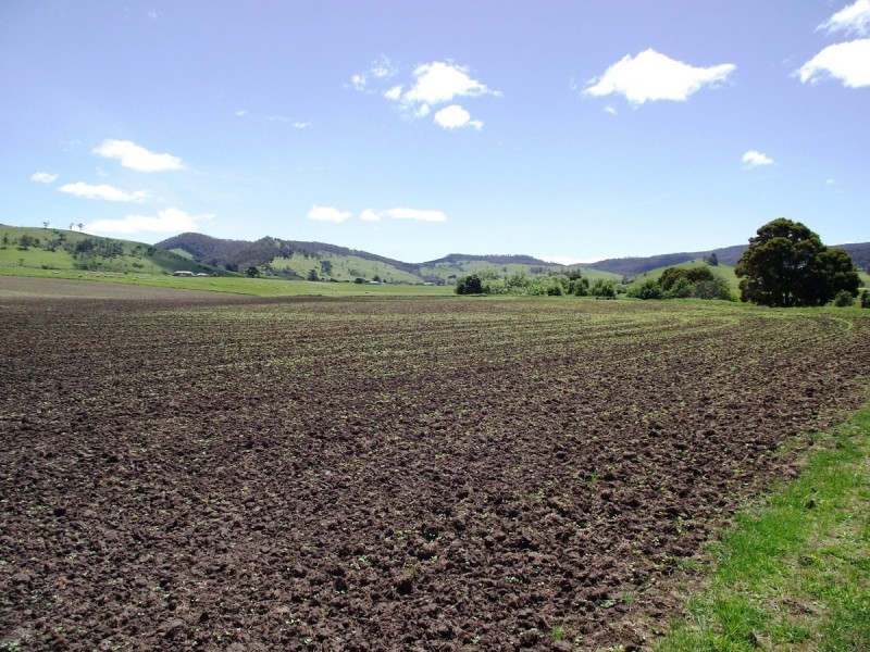 160 Mud Walls Road, Colebrook TAS 7027