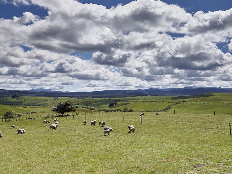 645 Relbia Road, Relbia TAS 7258