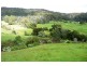 278 Rowleys Hill Road, Karoola TAS 7267