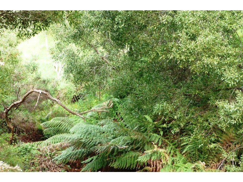 278 Rowleys Hill Road, Karoola TAS 7267