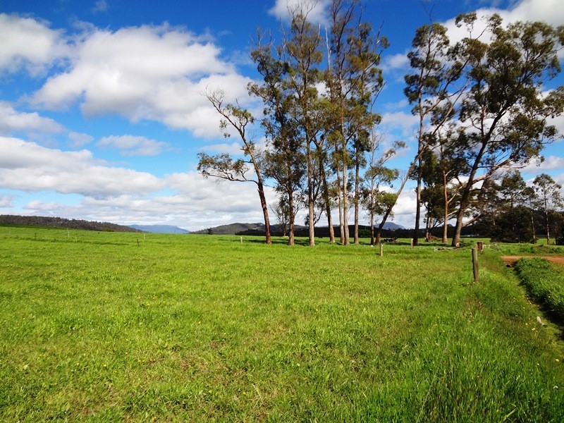 14454 Highland Lakes Road, Deloraine TAS 7304