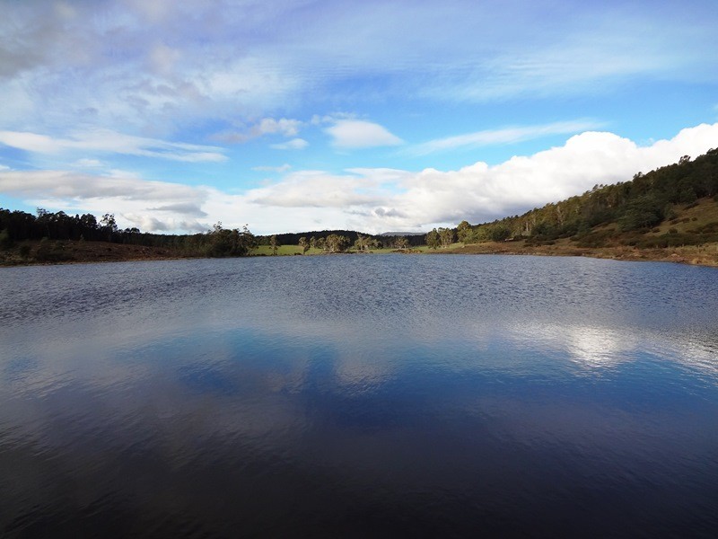 14454 Highland Lakes Road, Deloraine TAS 7304