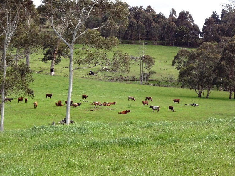 14454 Highland Lakes Road, Deloraine TAS 7304