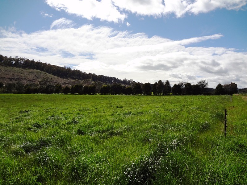 14454 Highland Lakes Road, Deloraine TAS 7304