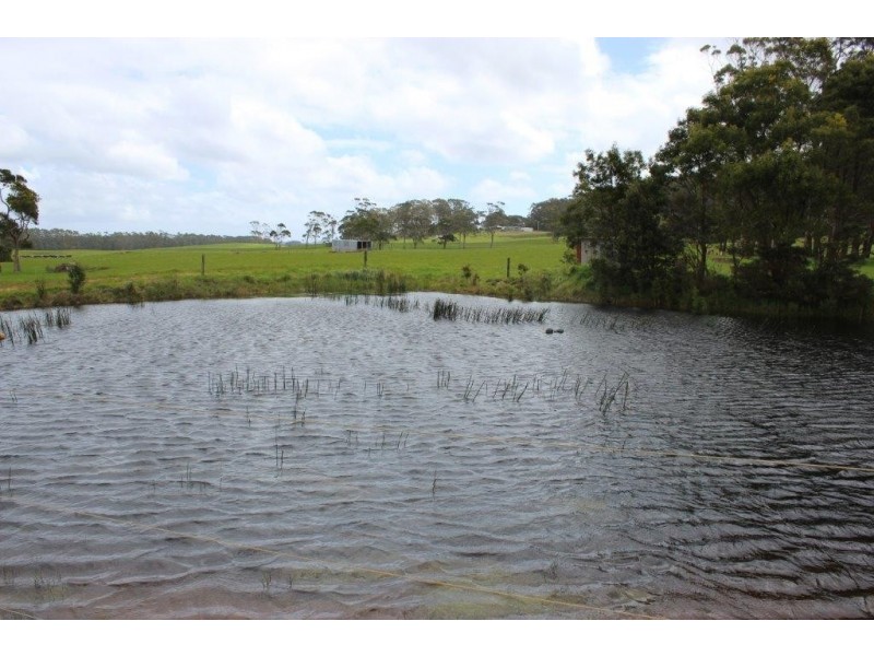 25094 Bass Highway, Brittons Swamp TAS 7330