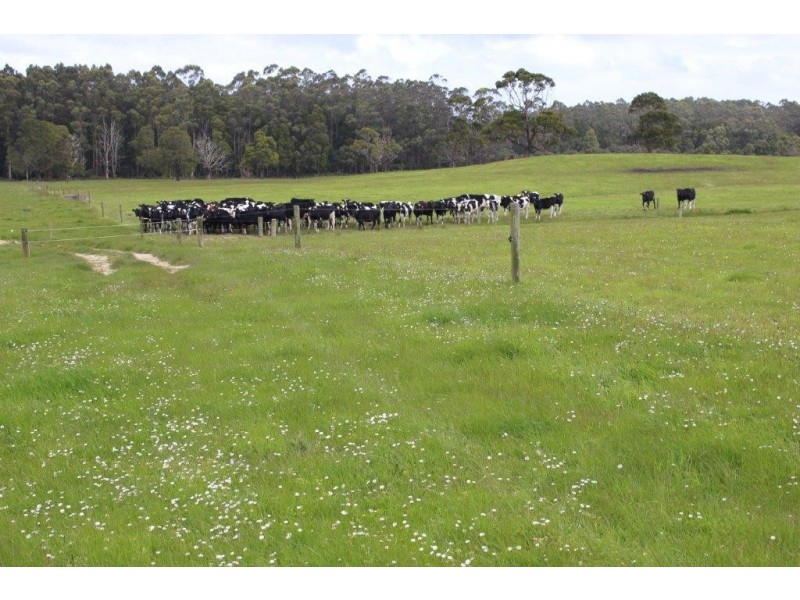 25094 Bass Highway, Brittons Swamp TAS 7330