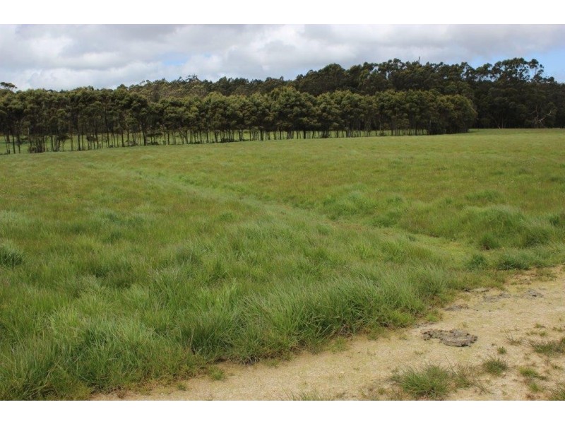 25094 Bass Highway, Brittons Swamp TAS 7330