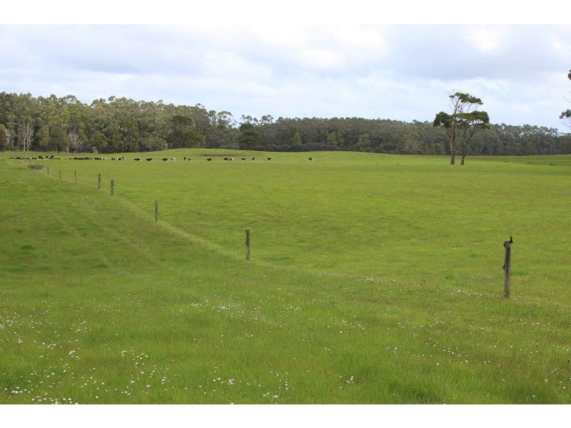 25094 Bass Highway, Brittons Swamp TAS 7330