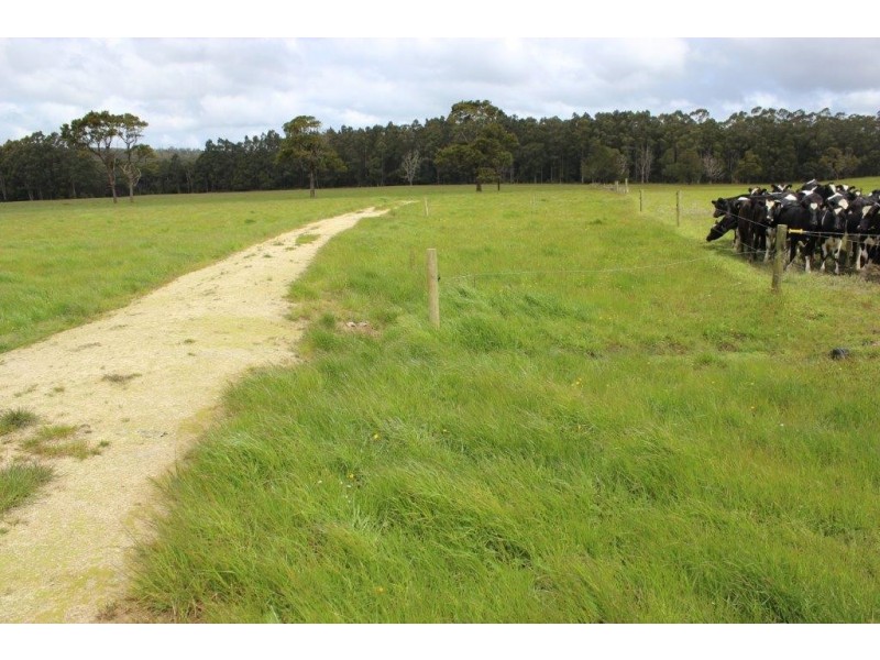 25094 Bass Highway, Brittons Swamp TAS 7330