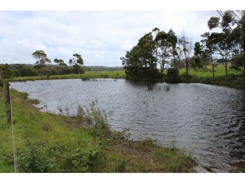 25094 Bass Highway, Brittons Swamp TAS 7330