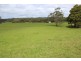 25094 Bass Highway, Brittons Swamp TAS 7330
