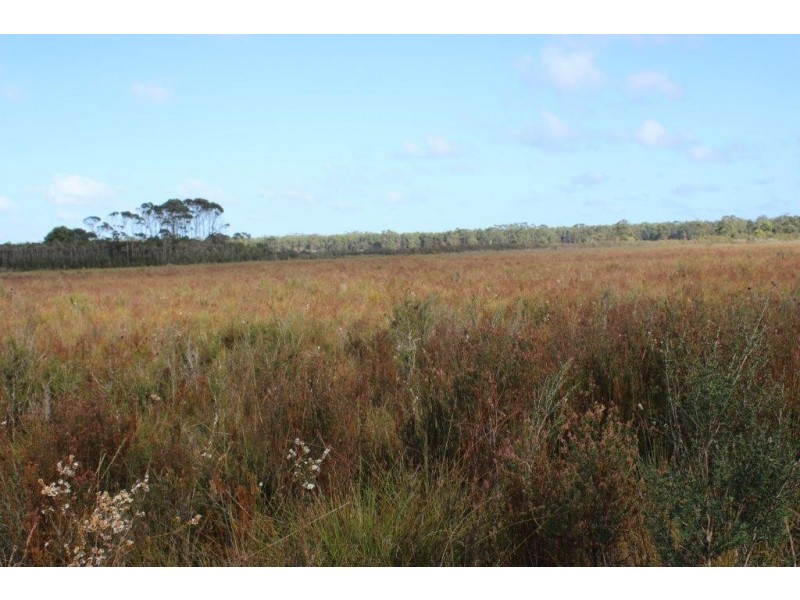 PID 7560991 Barcoo Road, Togari TAS 7330