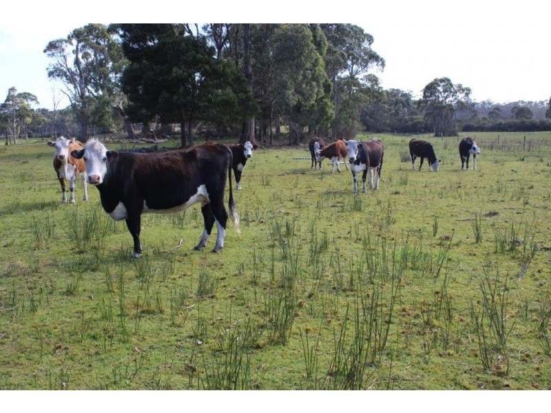 PID 7560991 Barcoo Road, Togari TAS 7330