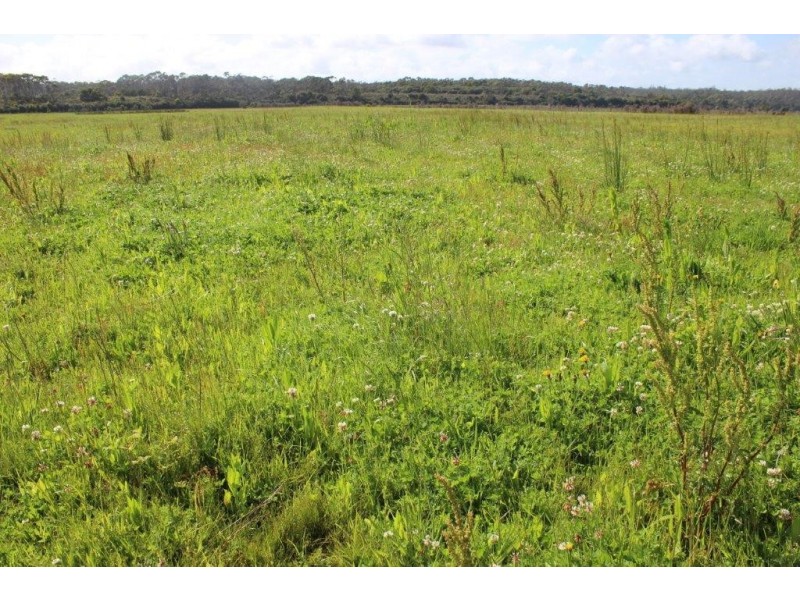 PID 7560991 Barcoo Road, Togari TAS 7330