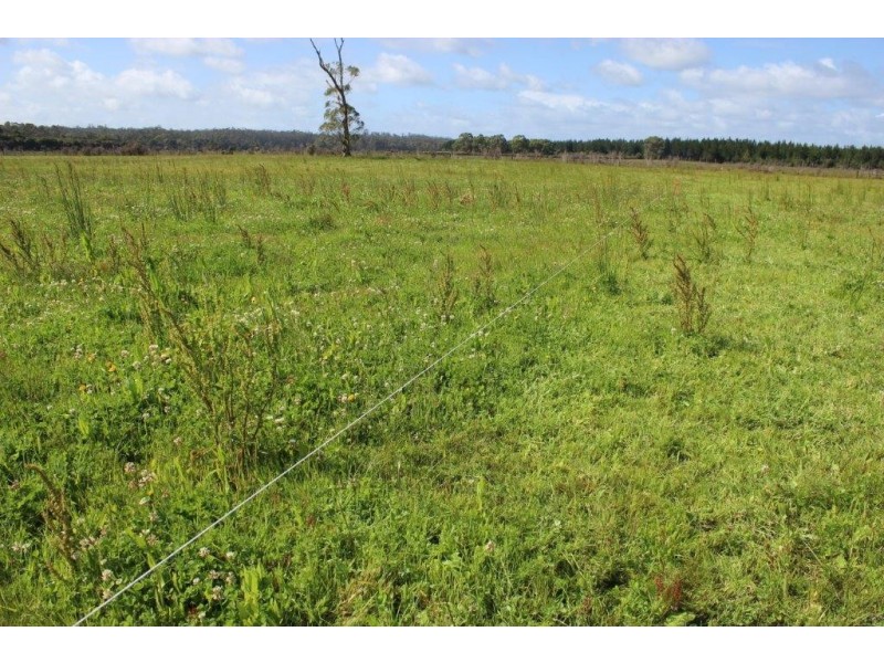 PID 7560991 Barcoo Road, Togari TAS 7330