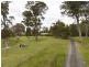 717 Windermere Road, Swan Bay TAS 7252