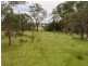 717 Windermere Road, Swan Bay TAS 7252