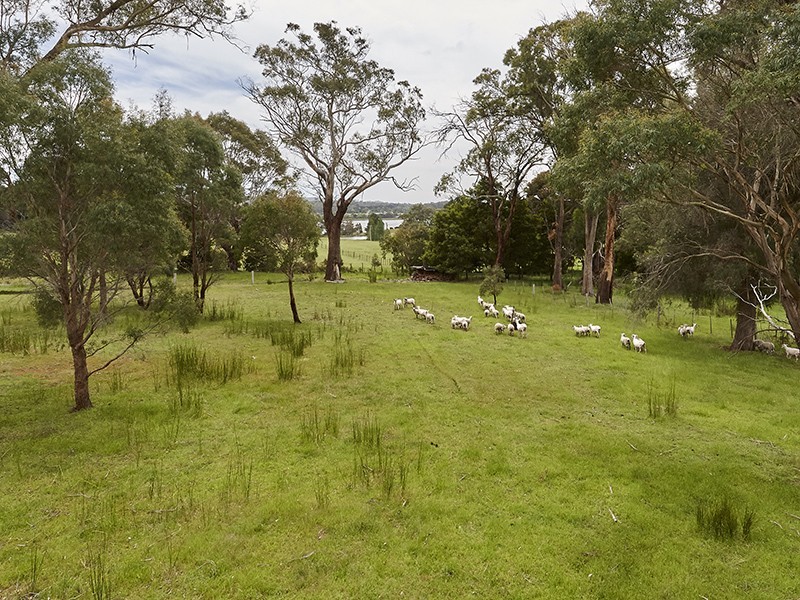 717 Windermere Road, Swan Bay TAS 7252