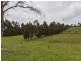 717 Windermere Road, Swan Bay TAS 7252