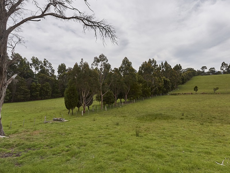 717 Windermere Road, Swan Bay TAS 7252