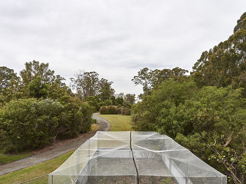 717 Windermere Road, Swan Bay TAS 7252