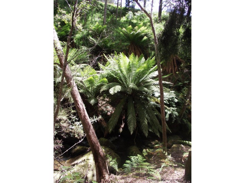 130 The Avenue, Ellendale TAS 7140