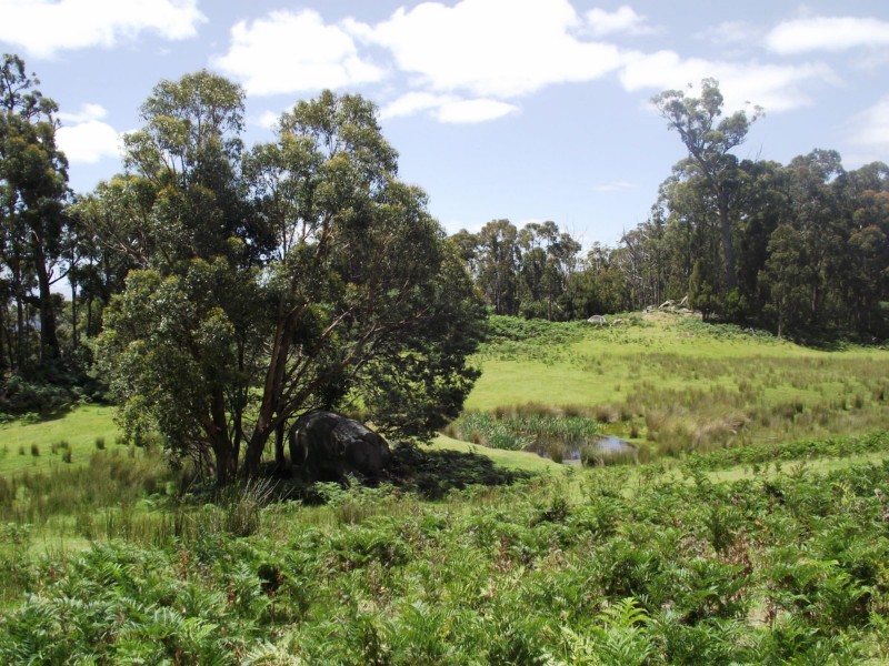 130 The Avenue, Ellendale TAS 7140