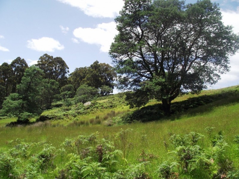 130 The Avenue, Ellendale TAS 7140