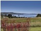 655 Craigburn Road, Hillwood TAS 7252