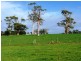 655 Craigburn Road, Hillwood TAS 7252