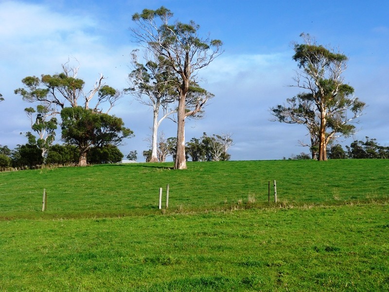 655 Craigburn Road, Hillwood TAS 7252