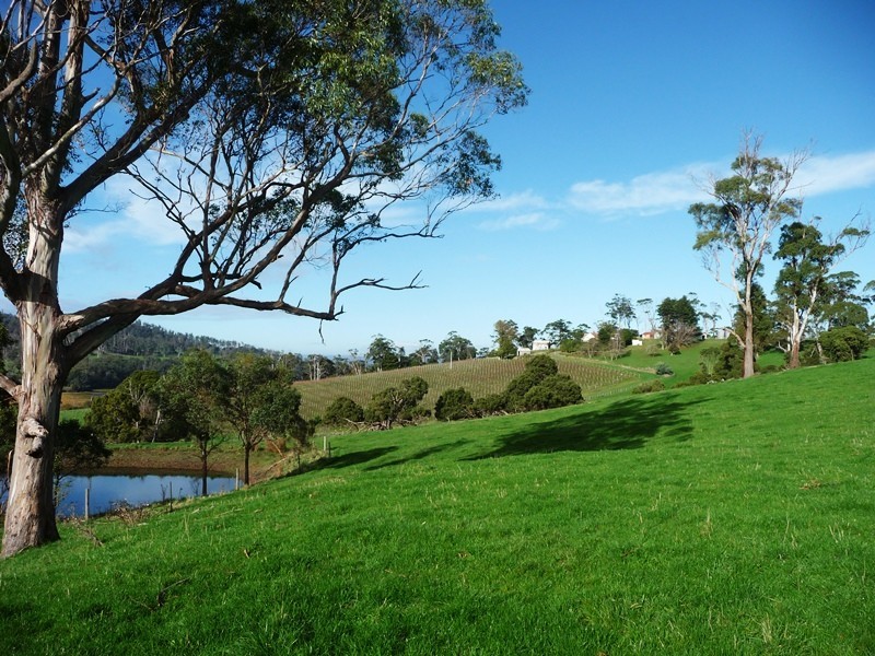 655 Craigburn Road, Hillwood TAS 7252